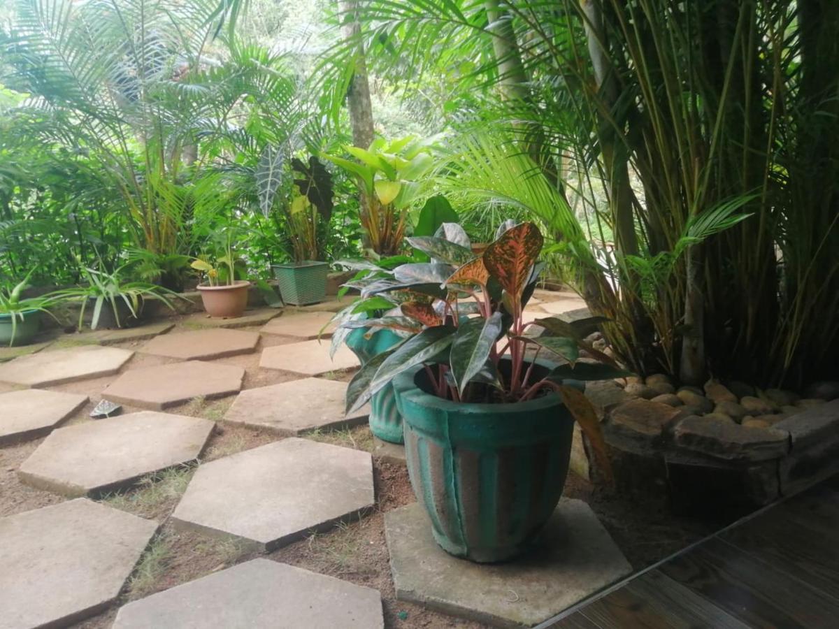 Sky Garden Ella Apartment Bagian luar foto