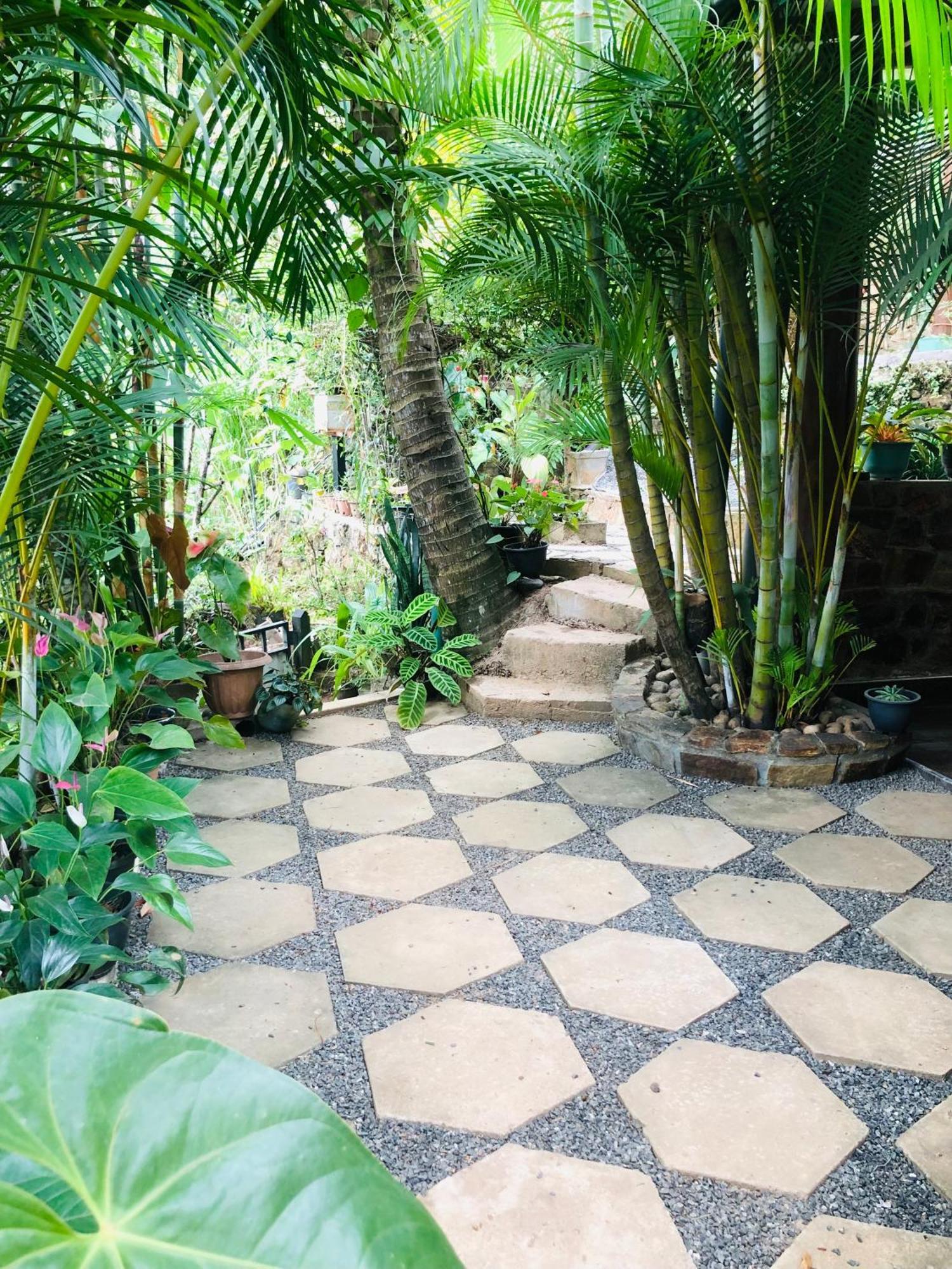 Sky Garden Ella Apartment Bagian luar foto