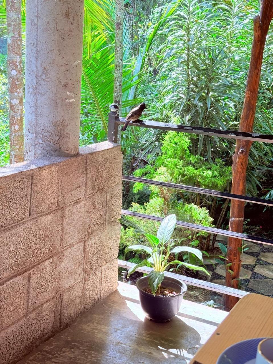 Sky Garden Ella Apartment Bagian luar foto
